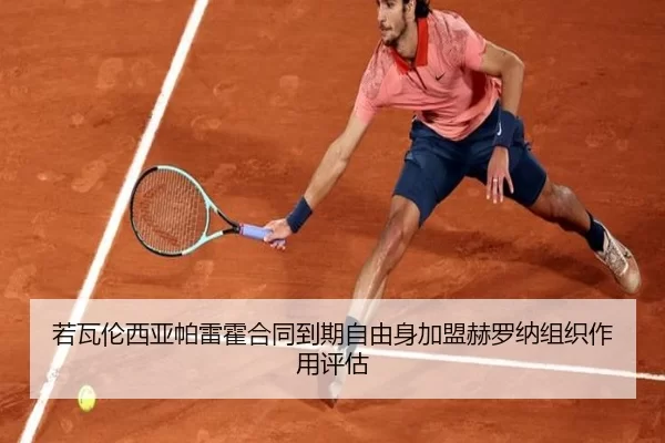 ruo-wa-lun-xi-ya-pa-lei-huo-he-tong-dao-qi-zi-you-shen-jia-meng-he-luo-na-zu-zhi-zuo-yong-ping-gu-2-533.jpg