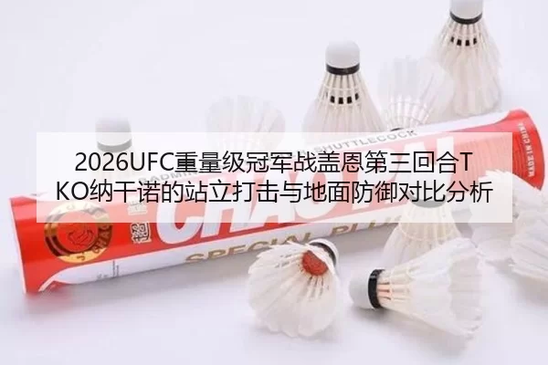 2026UFC重量级冠军战盖恩第三回合TKO纳干诺的站立打击与地面防御对比分析