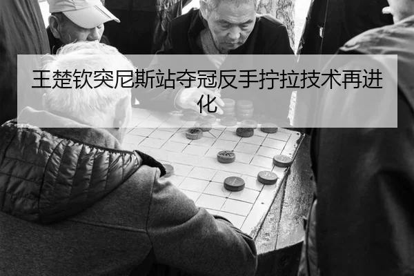 王楚钦突尼斯站夺冠反手拧拉技术再进化