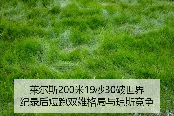 lai-er-si-mi-miao-po-shi-jie-ji-lu-hou-duan-pao-shuang-xiong-ge-ju-yu-qiong-si-jing-zheng-2-745.jpg