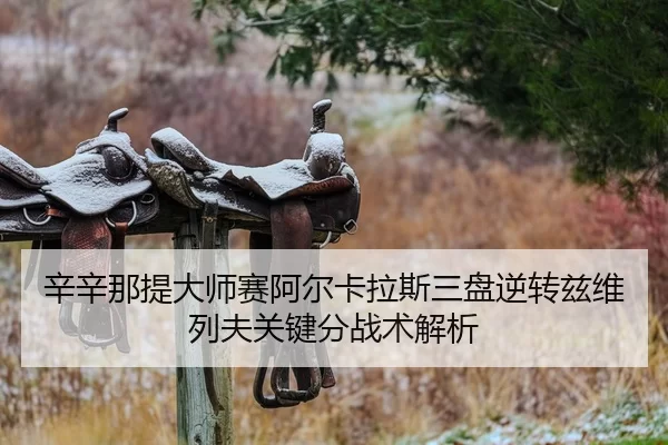 xin-xin-na-ti-da-shi-sai-a-er-ka-la-si-san-pan-ni-zhuan-zi-wei-lie-fu-guan-jian-fen-zhan-shu-jie-xi-2-309.jpg
